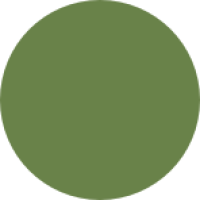 Mirlene-picin-podium-verde1 Mirlene-picin-podium-verde1