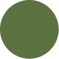 Mirlene-picin-podium-verde3 Mirlene-picin-podium-verde3